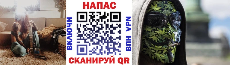 Шишки марихуана VHQ  Новая Ладога 